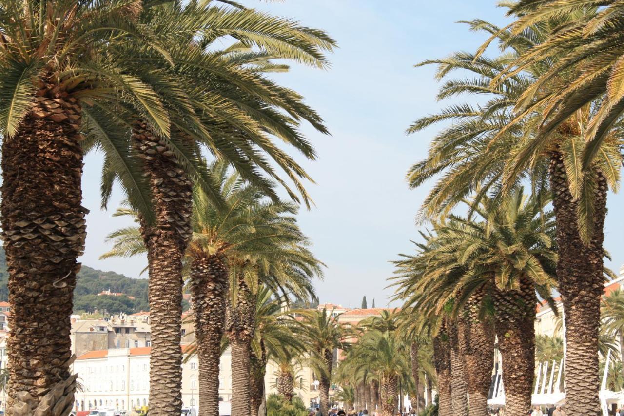 Famous Promenade Riva Apartment Split Zewnętrze zdjęcie